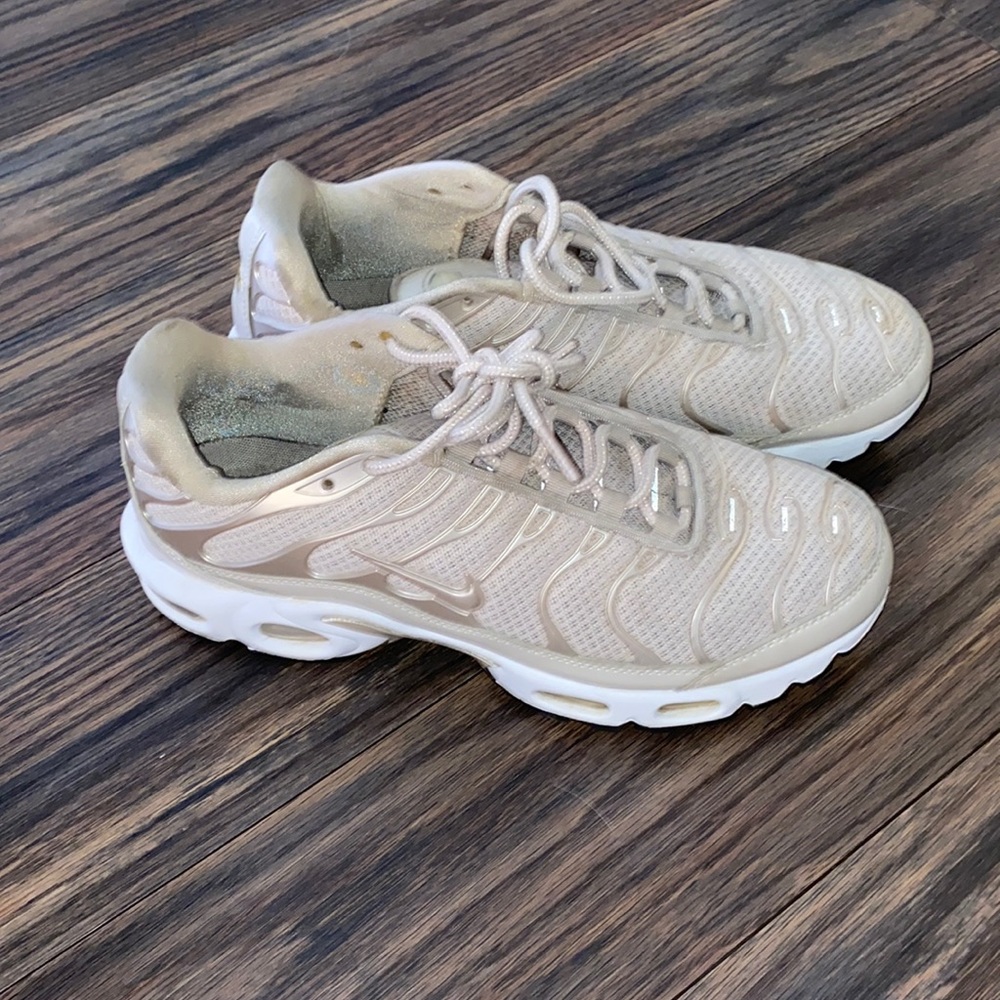 Nike TN Air Max